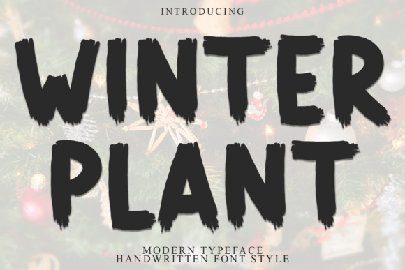 Winter Plant Brings Handcrafted Boldness to Branding Projects